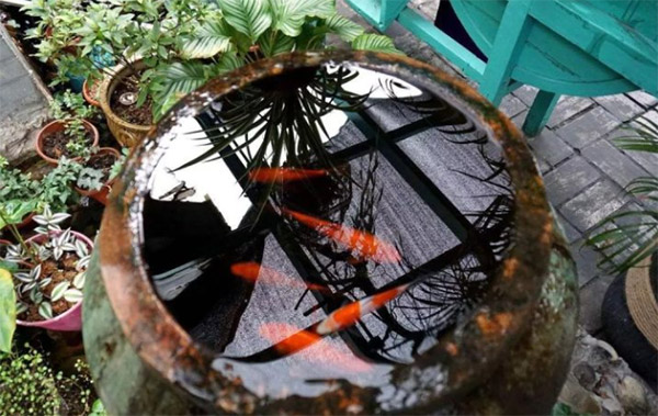 中国人为什么喜欢在院子里放水缸？