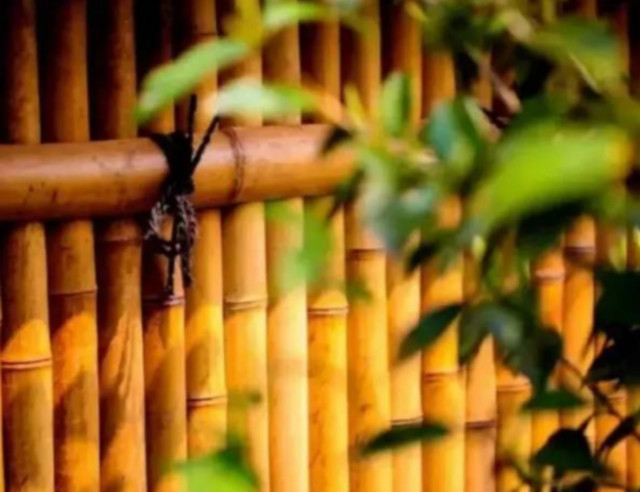 青岛庭院设计：教你如何用竹子打造意境庭院