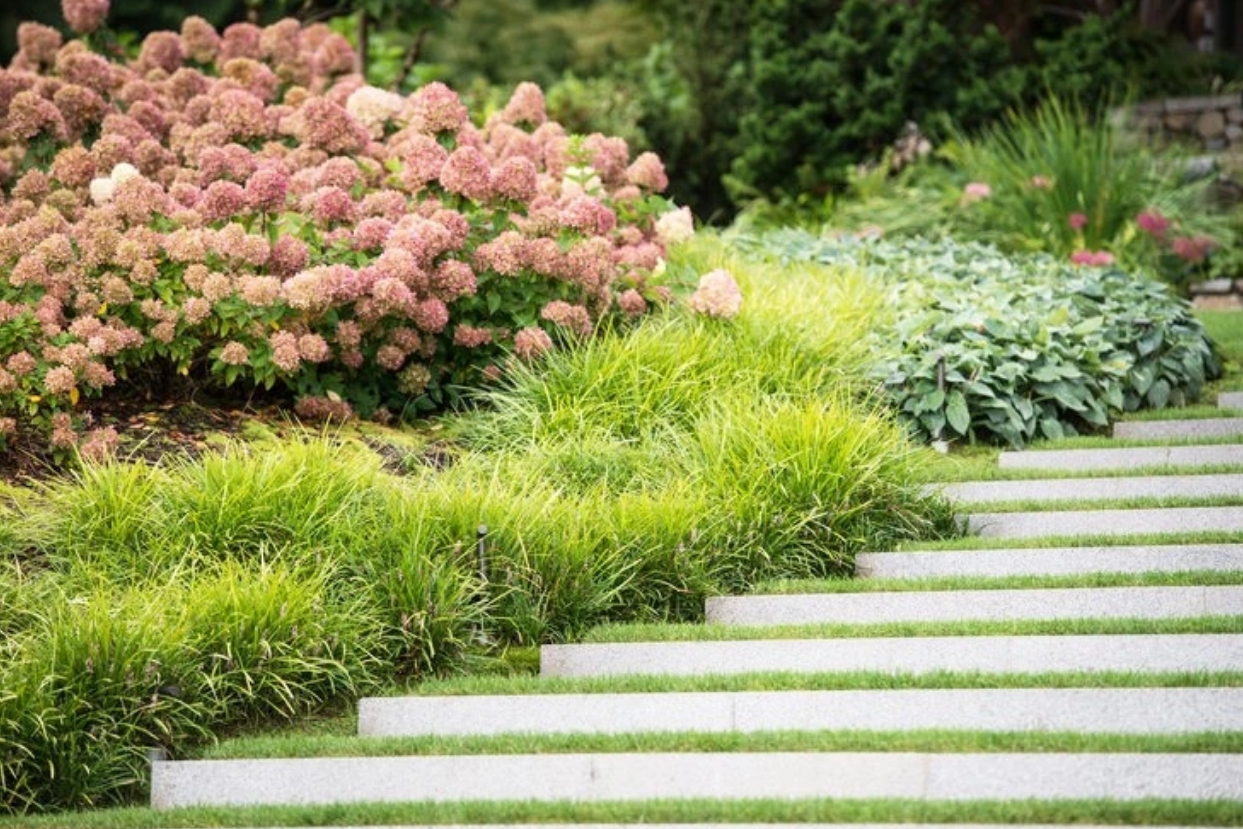 花园很萧瑟？那一定是少了它！庭院观赏草，为冬天增添色彩的不二之选！