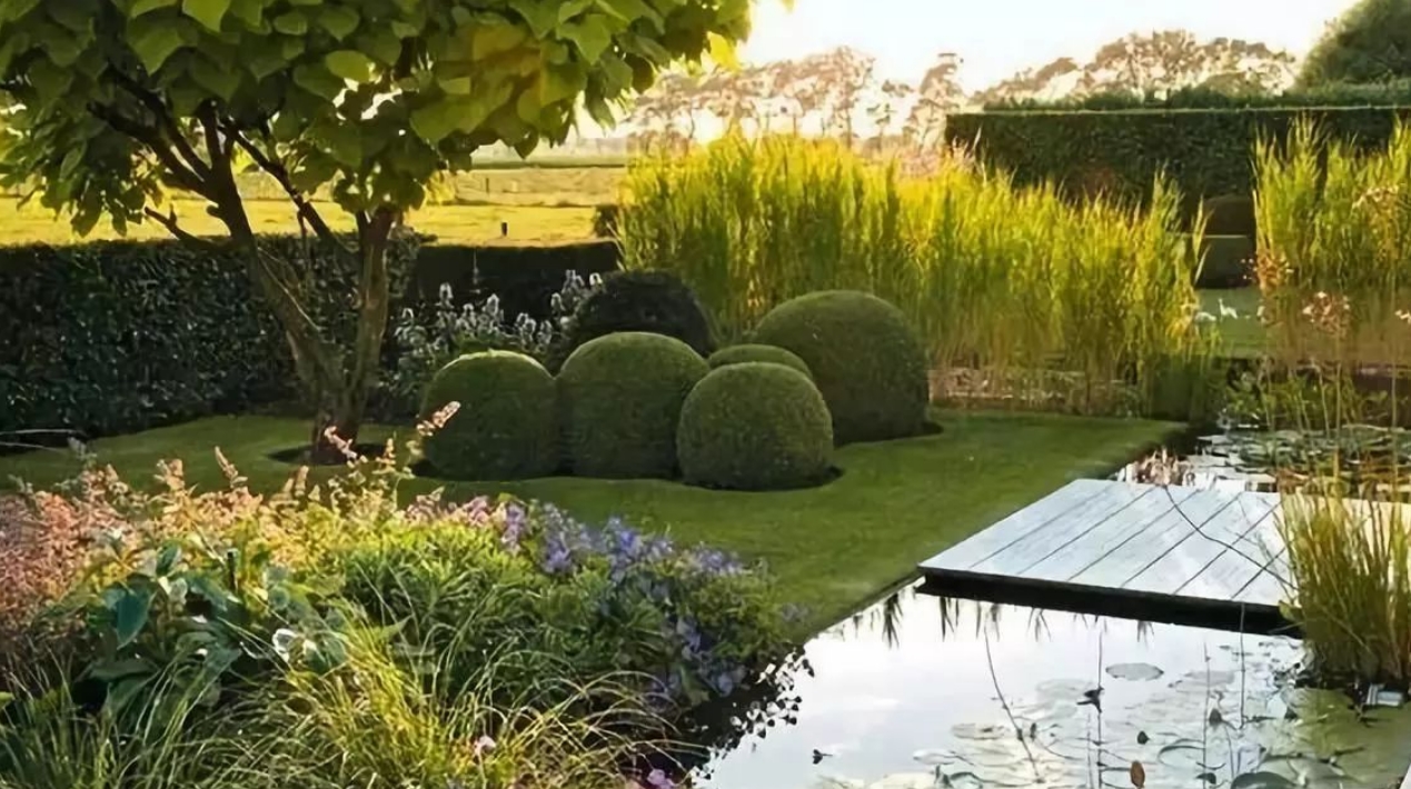 解锁5个花园打造的关键点，让你越住越舒心！